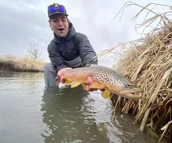 Bozeman fly fishing guide colman breckbill with a montana bronw
