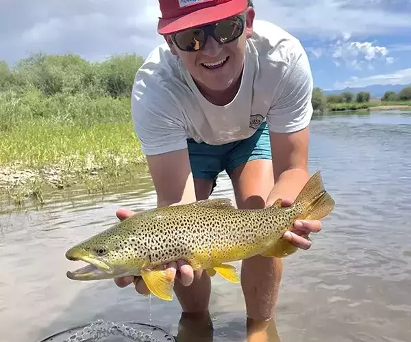Gus prissel bozeman fly fishing pbr brown trout