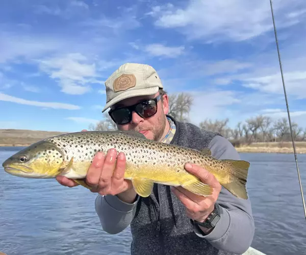 Bozeman fly fishing guide sam hunter fly fishing in montana