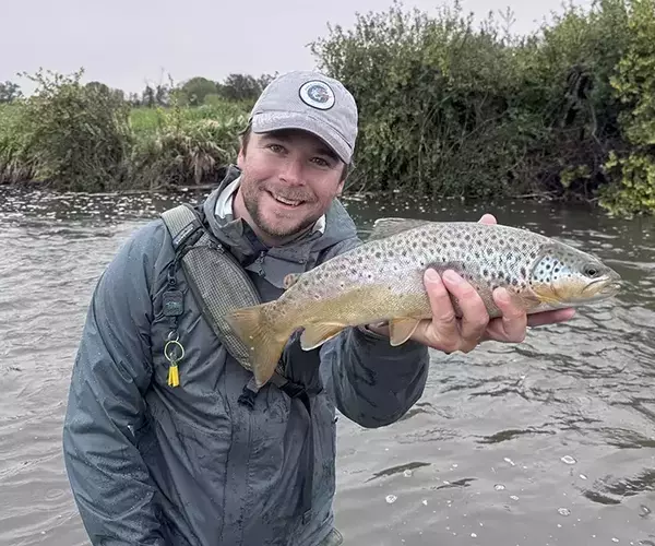 Brown trout fly fishing in Montana with fly fishing guide sam hunter