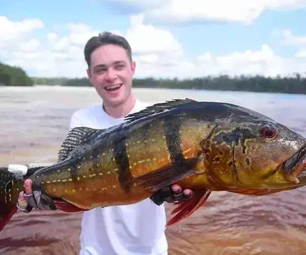 Bozeman mt fly fishing outfitter team alex swank with peacock bass
