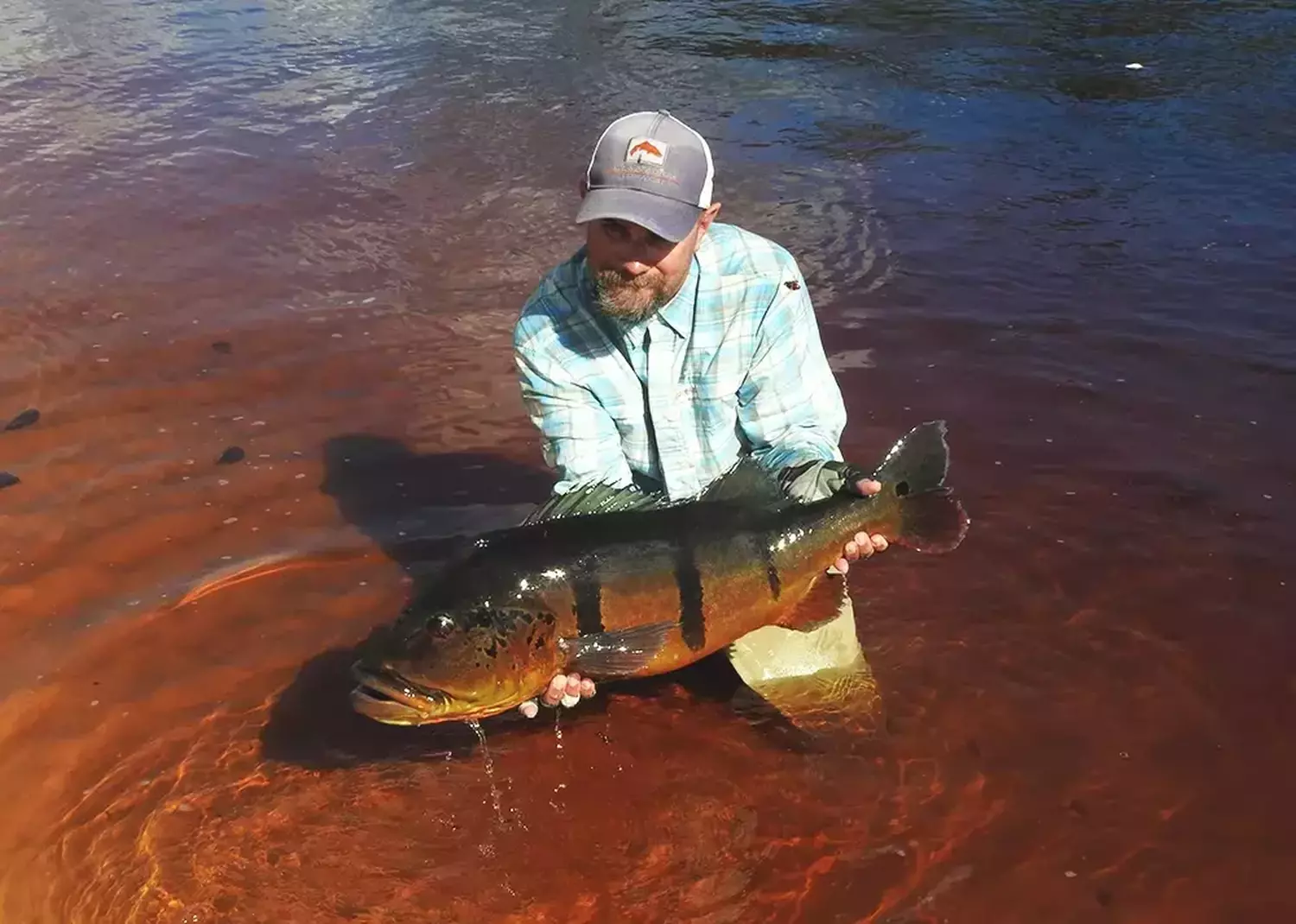 						First big rio marie peacock bass
										