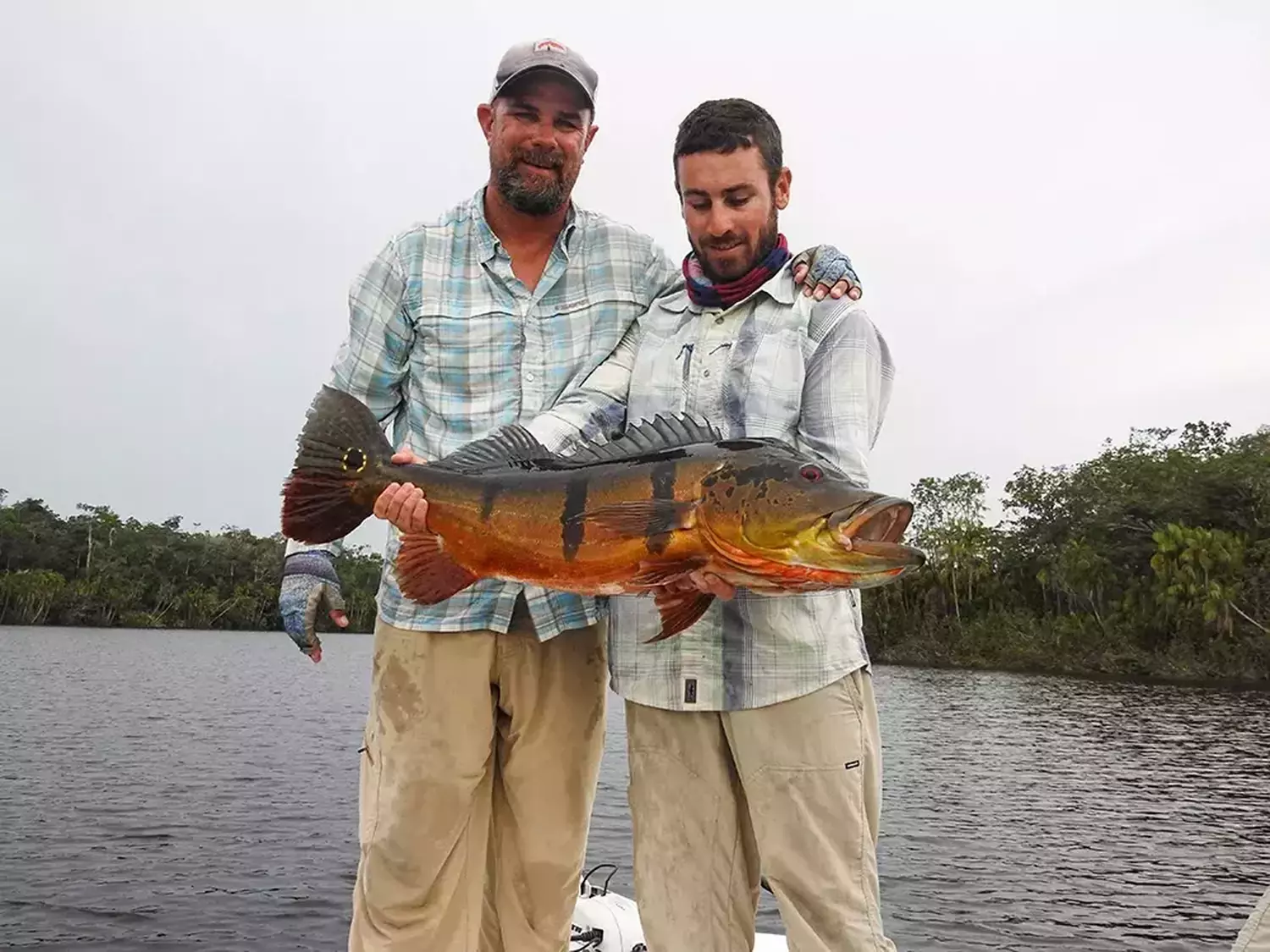 						Last brazil peacock bass fishing in 2015
										