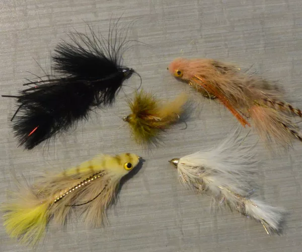 Steven fall streamers