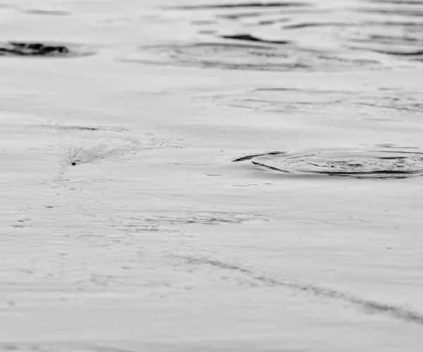 									Mothers day caddis hatch 5
															