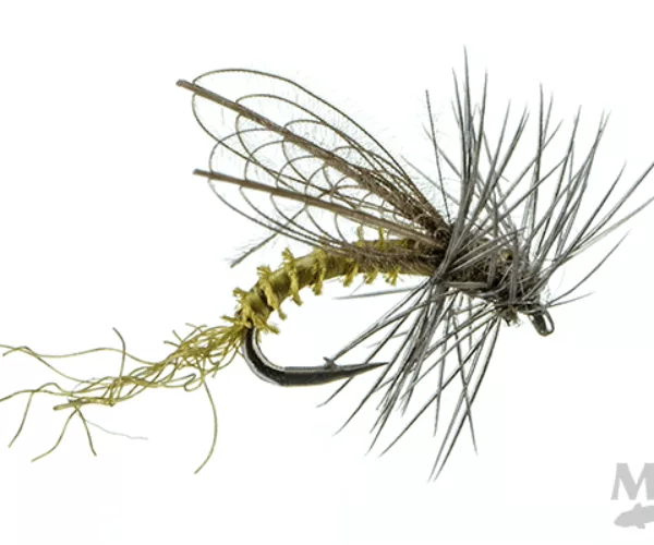 Bwo winged emerger