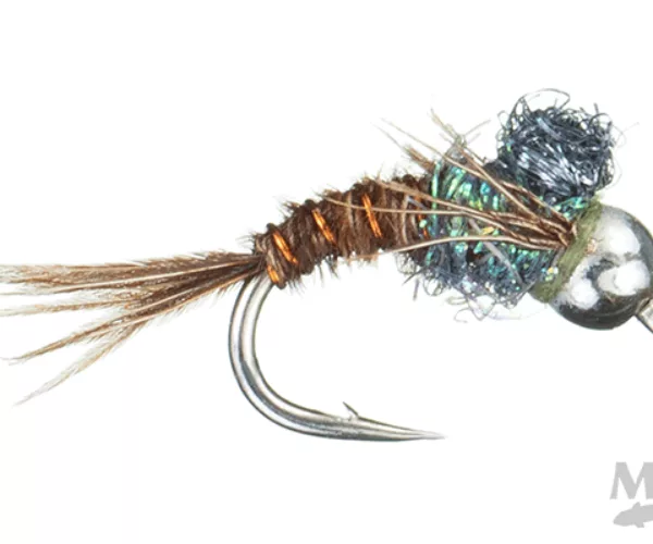 Bwo angelcase emerger