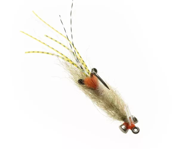 									Spawning shrimp olive copy
															