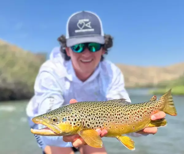 									Gus Focus on Brown Trout
															