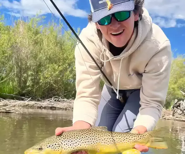 									Gus Kneeling Brown Trout
															