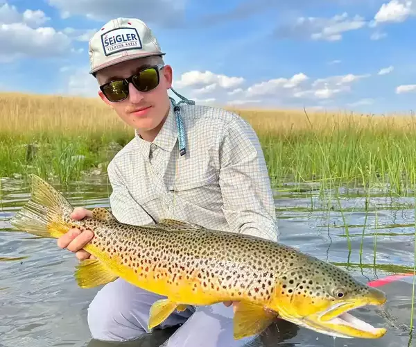 									Kaden Pond Brown Trout 3
															