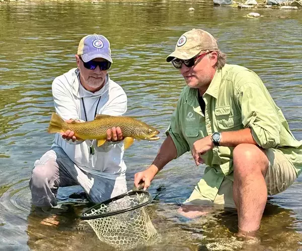 									August 2026 brown trout release on a montana fly fishing trip near Bozeman
															