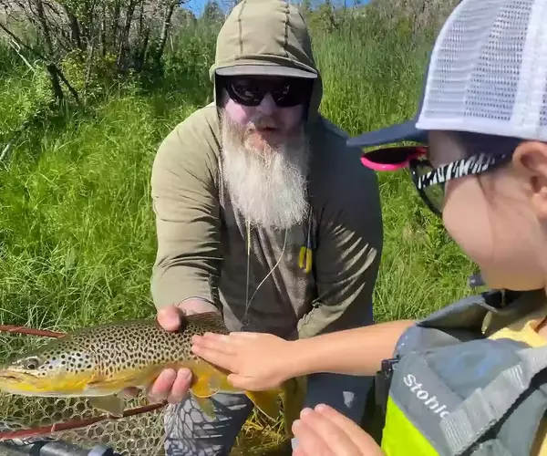 									Brown trout madison river pet
															