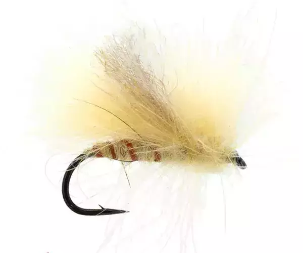 									Corn fed spruce moth for Bozeman fly fishing
															