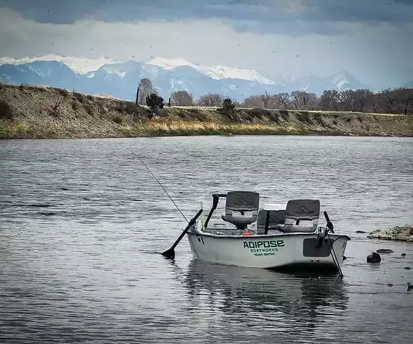 									Drift boat fly fishing adipose jefferson river
															
