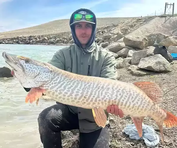 									Fly fishing tiger muskie
															