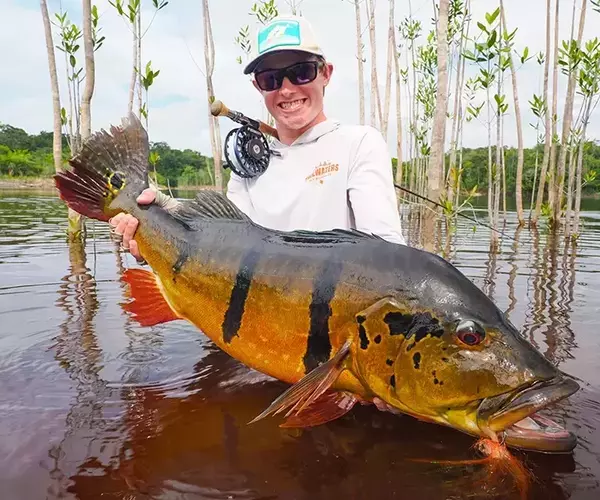 									Giant peacock bass fishing
															