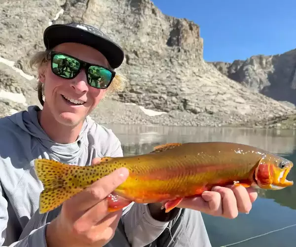 									Jackson golden trout
															