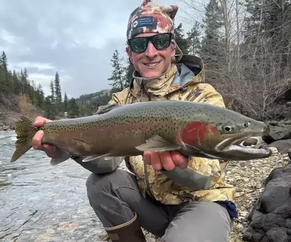 									Jackson steelhead
															