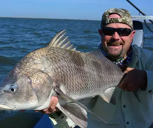 									Lousiana redfish 4 of 83
															