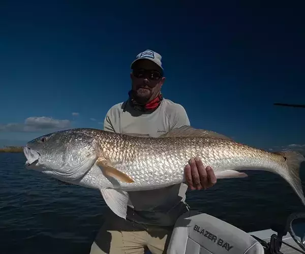 									Lousiana redfish 68 of 83
															