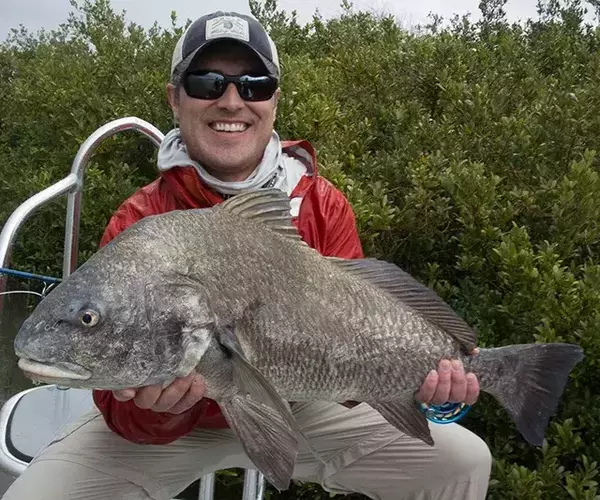 									Lousiana redfish 70 of 83
															