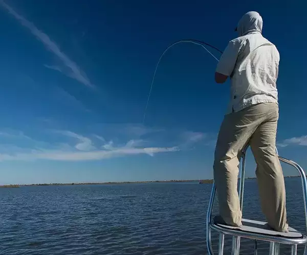 									Lousiana redfish 72 of 83
															
