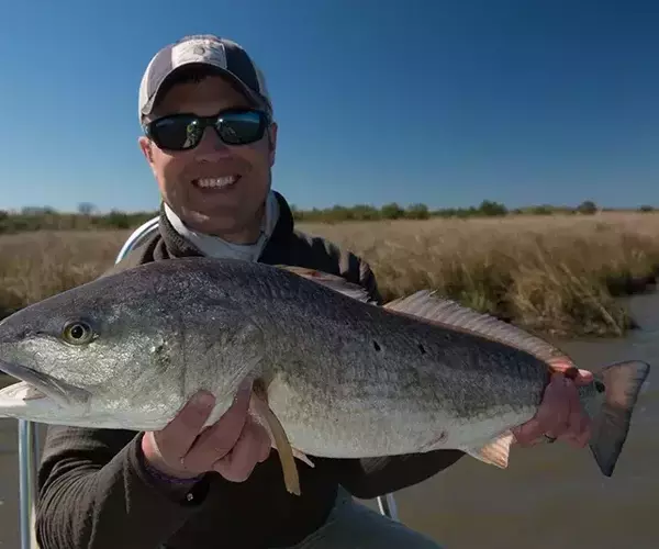 									Lousiana redfish 76 of 83
															