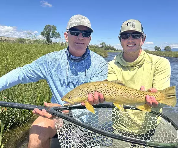 									Madison river brown trout on a hopper
															