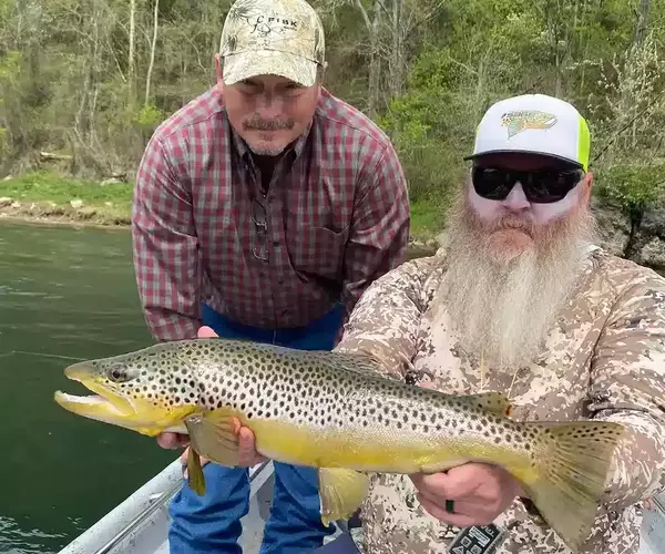 									Mike trophy brown trout white river
															
