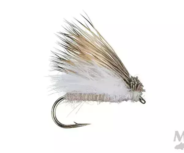 									Richter scale spruce moth for bozeman fly fishing
															