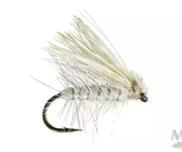 									Spruce moth pattern for Bozeman fly fishing
															