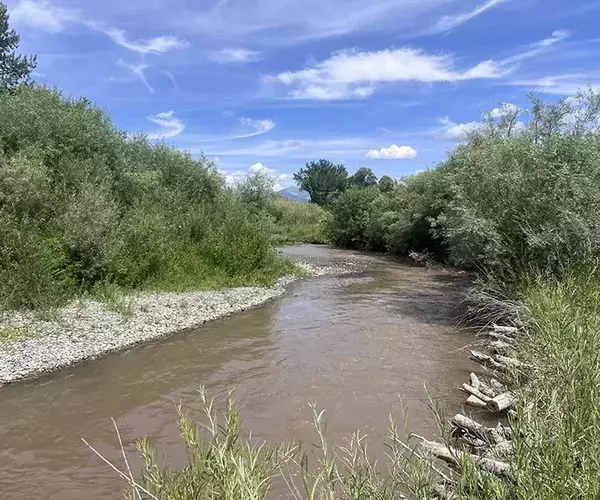 									Upper east gallatin river near springhill road
															