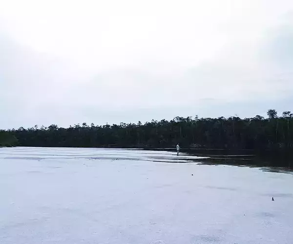 									White sandbar brazil peacock bass fishing
															