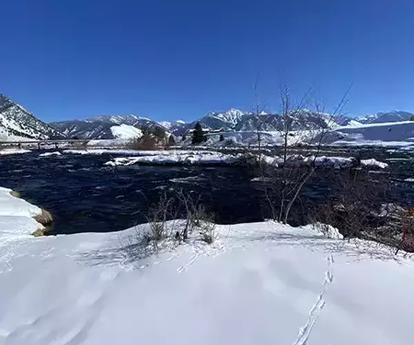 The Madison River near $3 Bridge during a winter Montana fly fishing outing with Fins and Feathers Guide Service