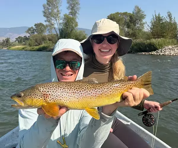 									Yellowstone river brown trout with bozeman fly fishing guide coleman jones and guest
															