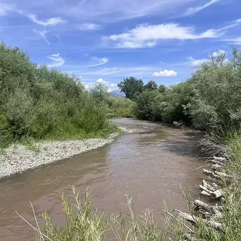 											Upper east gallatin river near springhill road
																						