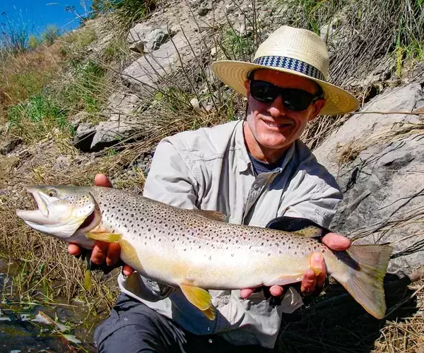 									Brown trout during salmonfly hatch
															