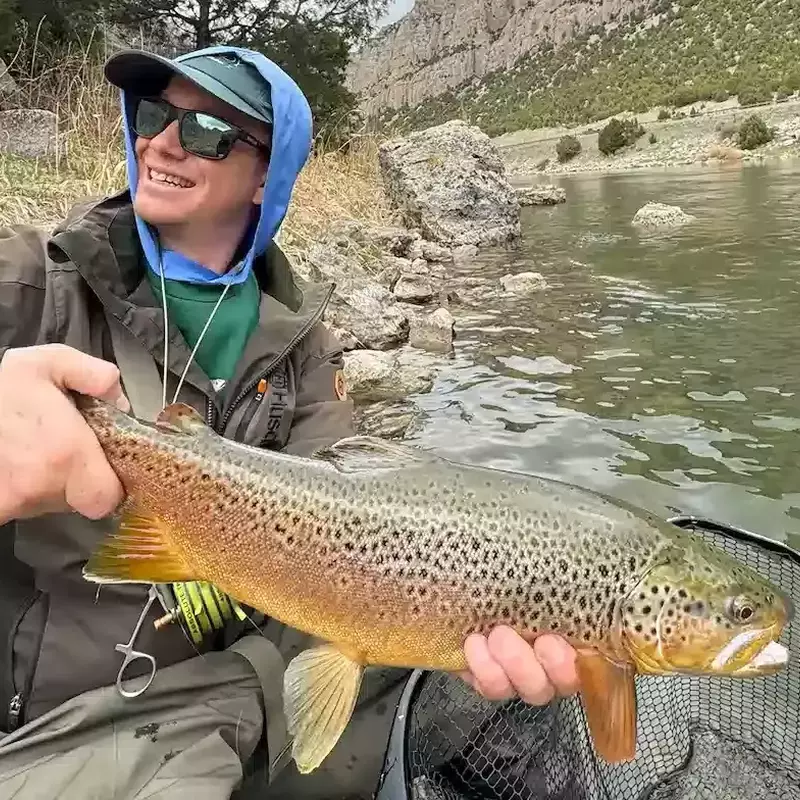 											Coleman smile brown trout
																						