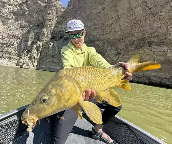 									Bozeman fly fishing for summer carp
															