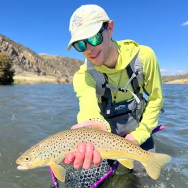 											Lower madison river brown trout
																						