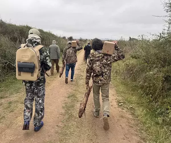 									Dove hunting at los ombues
															