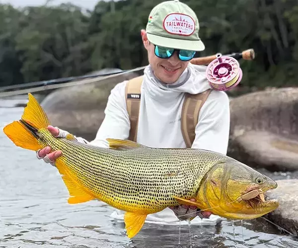									Golden dorado fly fishing alex mouse eater
															