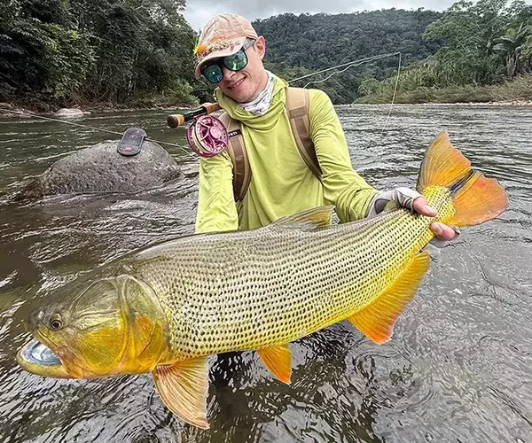 									Golden dorado fly fishing alex swank
															