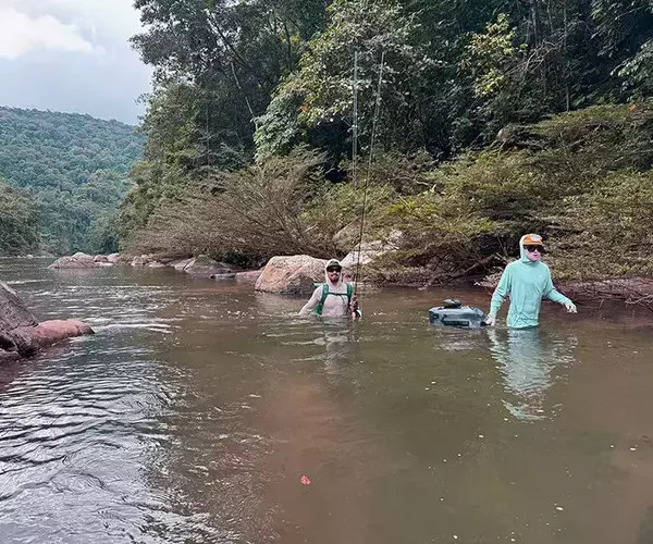 									Golden dorado fly fishing deep crossing
															
