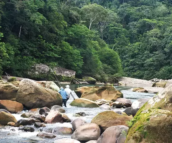 									Golden dorado fly fishing rock hopping
															