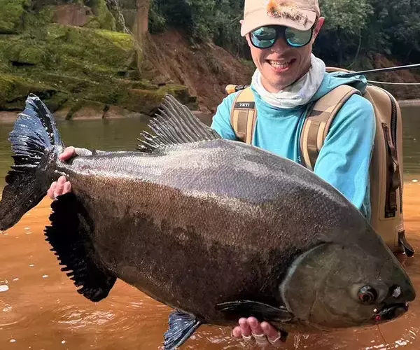 									Tsimane pacu fly fishing
															