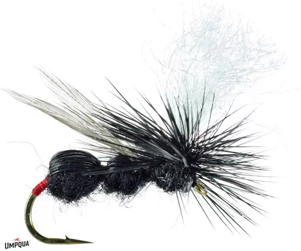 				  Deer hair ant
			  			  