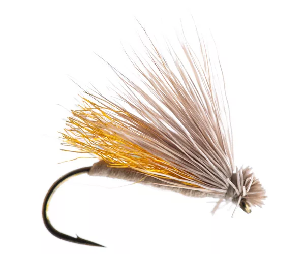 				  Razor Caddis Freed Tan12 045
			  			  