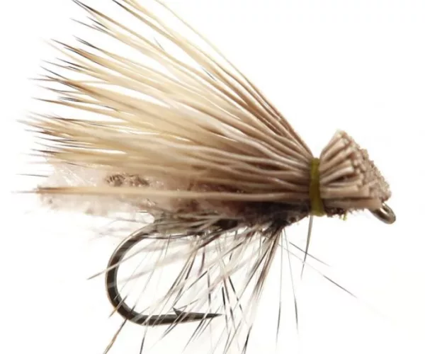 									YFG Spruce Moth
															